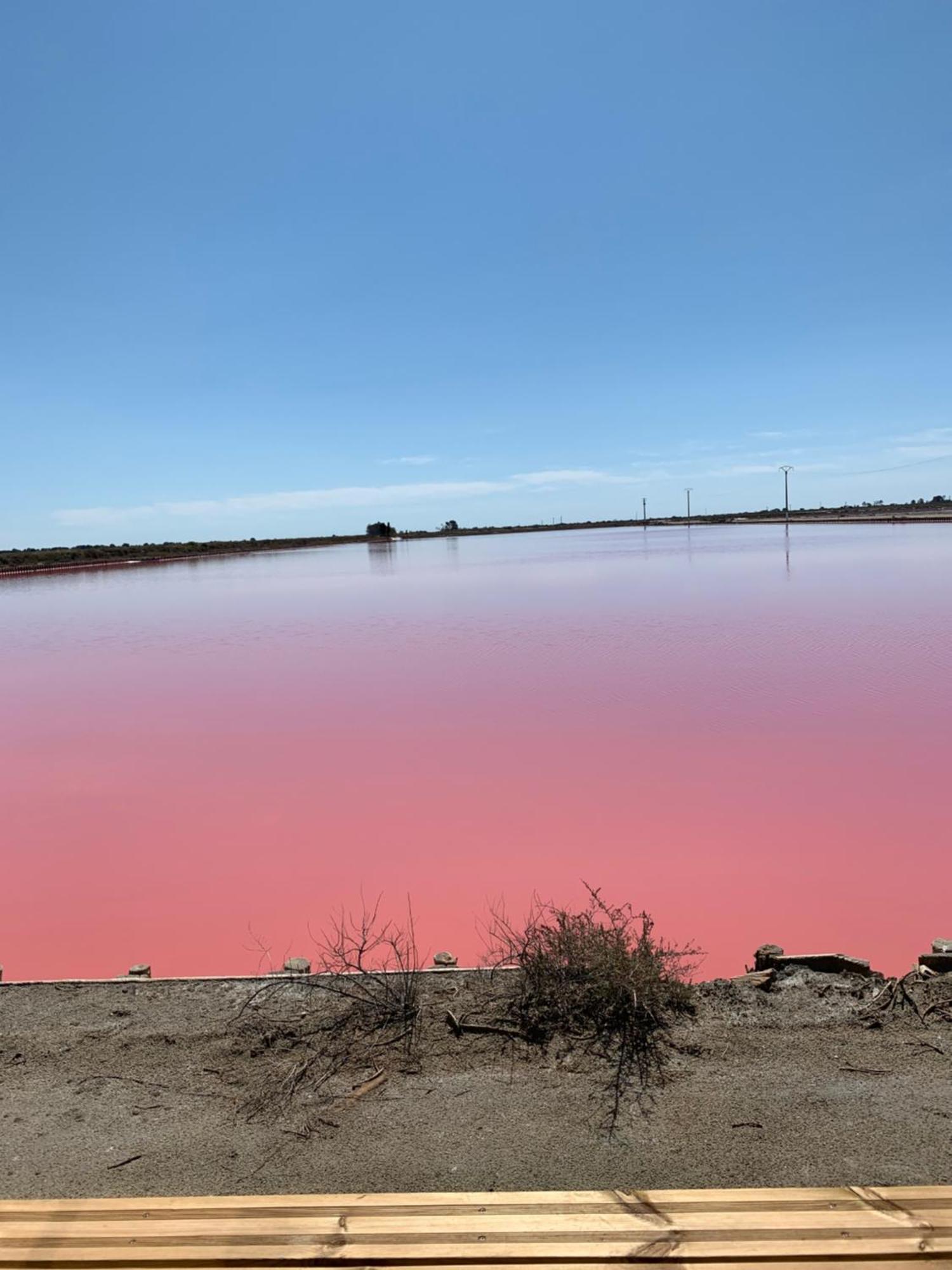Nuits Salines Ег-Морт Екстер'єр фото
